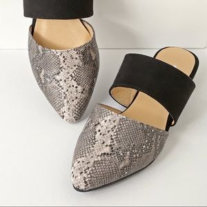 Chinese Laundry: ‘Enya’ Snakeskin Mule